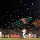 Illustration for article titled Seagulls Are Invading ATT Park And Shitting Everywhere